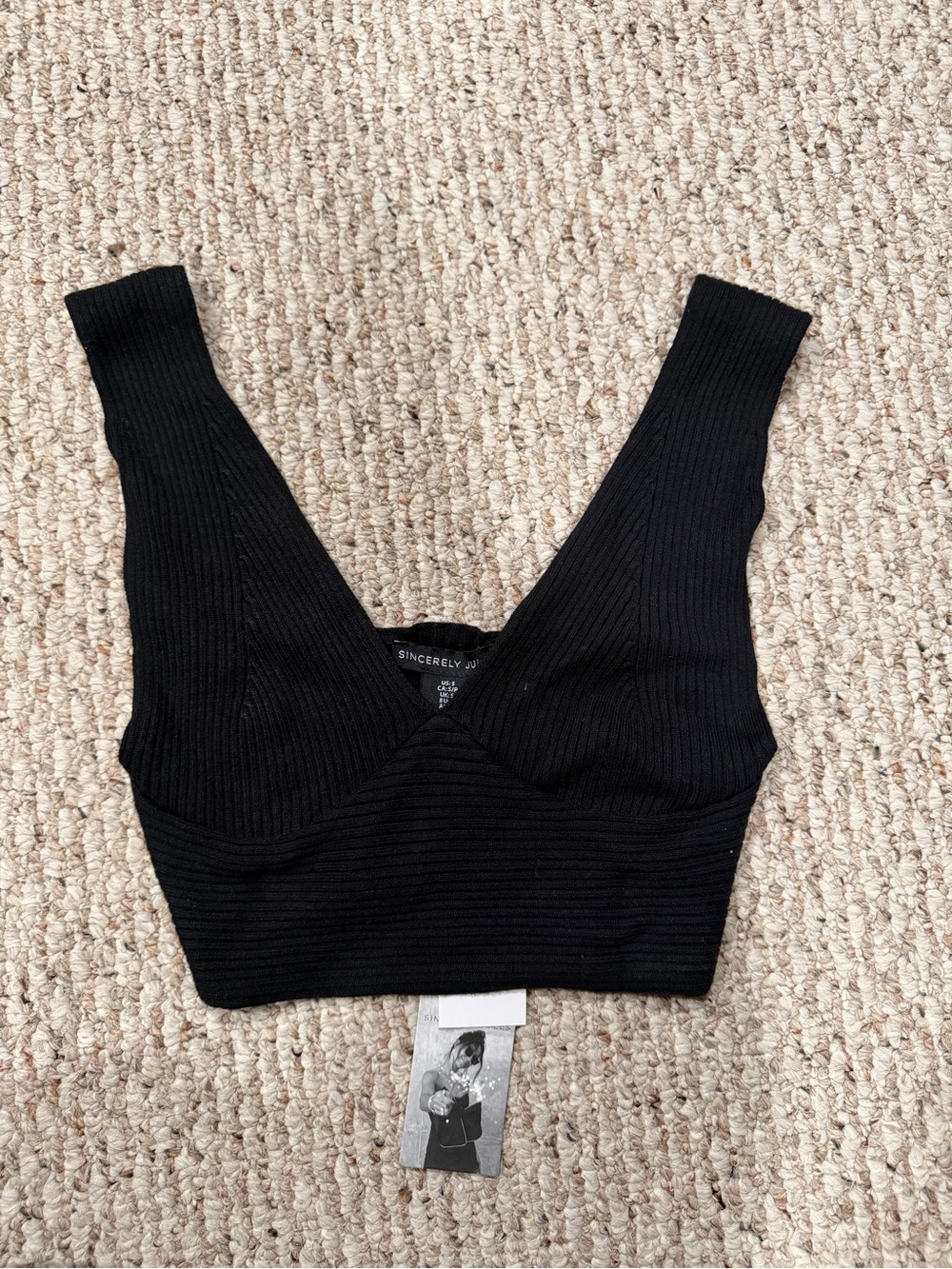 Sincerely Jules Black Ribbed V-Neck Crop Top